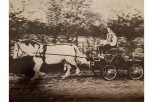 Menwagen voor pony van ongeveer 1.20m en leren tuig